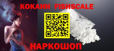 шишки Изобильный