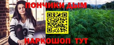 шишки Изобильный