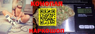 шишки Изобильный