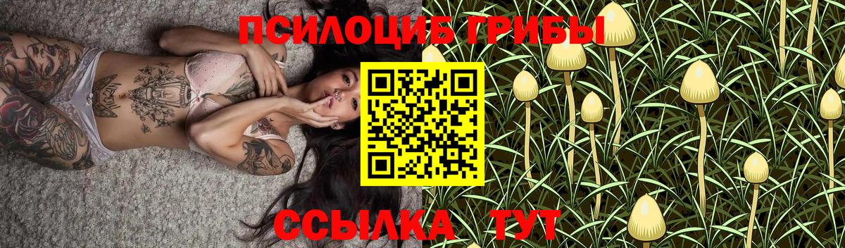 Псилоцибиновые грибы Psilocybine cubensis Майкоп